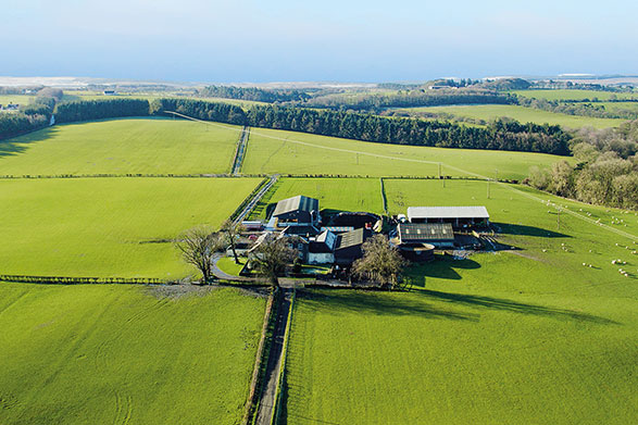 Muirhead Fine Scottish Leather