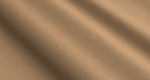 Grampian GP077 Biscuit