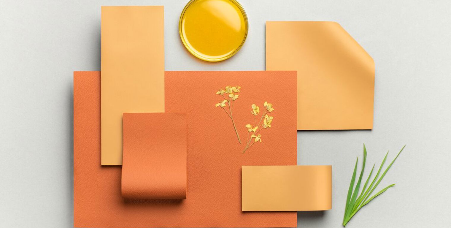 2024 Muirhead Biotan Landscape Highres 1 (1)