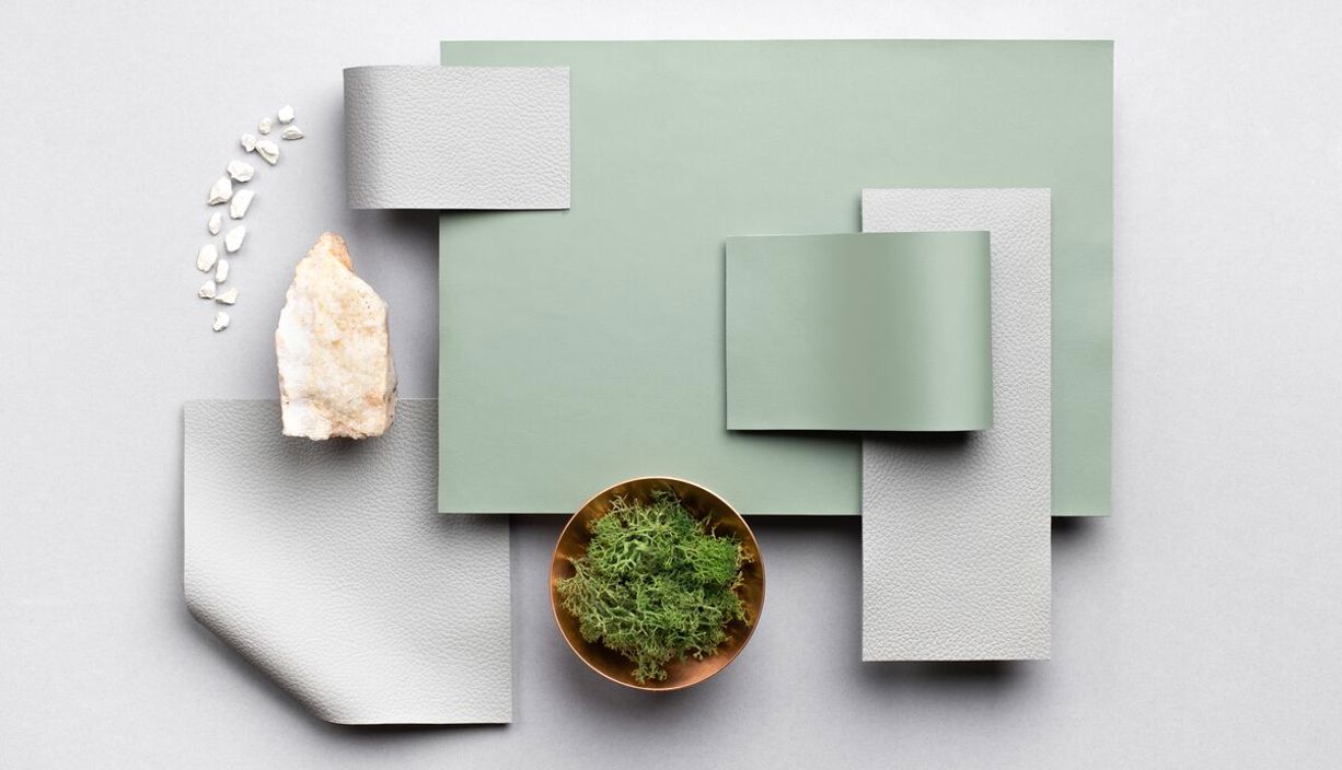 2024 Muirhead Freetan Landscape Highres 1