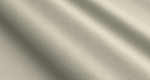 Grampian GP119 Birch