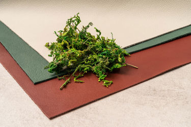 Rethinking leather sustainability: what low carbon means in practice